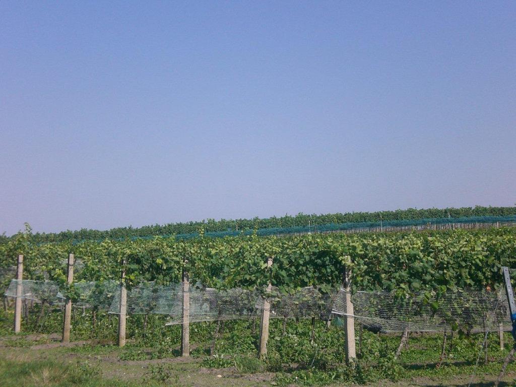 菲尔德斯公寓 伊尔米茨 外观 照片